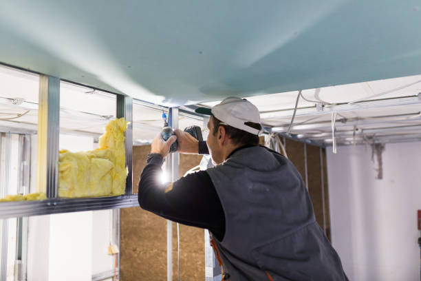 Best Residential Insulation Services  in Bethlehem, NC