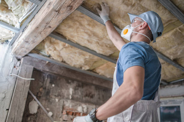 Best Local Insulation Services  in Bethlehem, NC