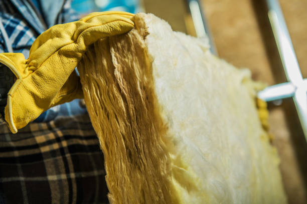 Best Home Insulation Services  in Bethlehem, NC