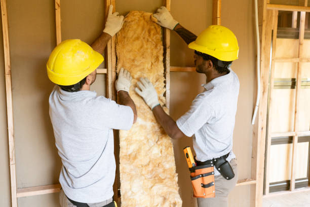 Insulation Inspection Services in Bethlehem, NC