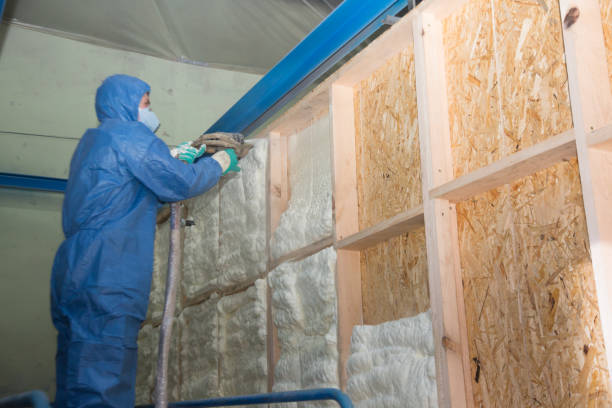 Best Insulation Inspection Services  in Bethlehem, NC